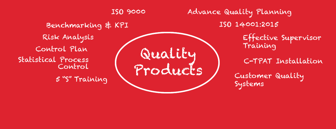 Quality Systems Development